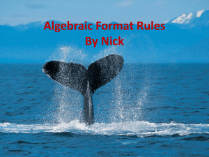 Algebraic Format Rules by Nick Karayianis