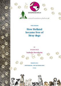 How Holland became free of Stray dogs