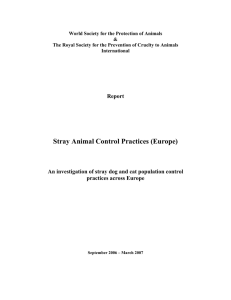 Stray Animal Control Practices (Europe)
