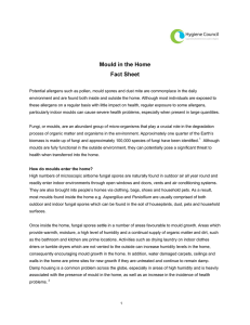 Mould in the Home Fact Sheet