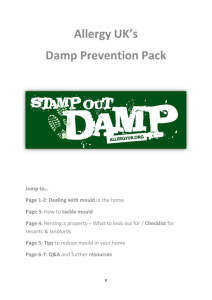 Stamp Out Damp