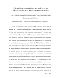 Colossal magnetocapacitance and scale