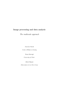 Image processing and data analysis The multiscale