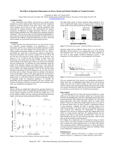 The Effect of Specimen Dimensions on Stress, Strain and Elastic