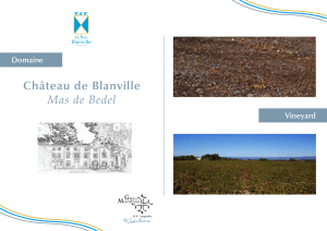 Château de Blanville Mas de Bedel