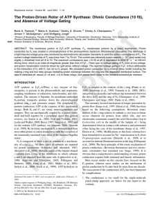 The Proton-Driven Rotor of ATP Synthase: Ohmic Conductance (10