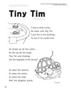 I had a little turtle, His name was Tiny Tim. I put him in