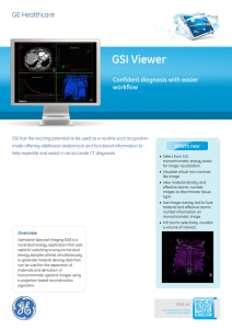 GSI Viewer - GE Healthcare