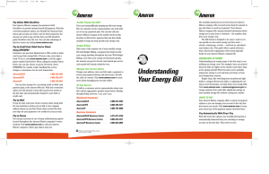 Brochure: Understanding Your Energy Bill