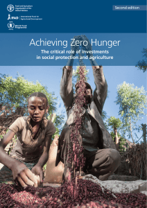 Achieving Zero Hunger: The Critical Role of Investments in Social