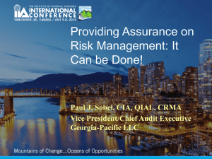 Providing Assurance on Risk Management