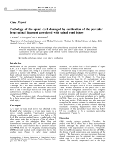 Case Report Pathology of the spinal cord damaged by