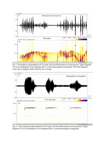 Fig. 1. Heterodyne representation of CF