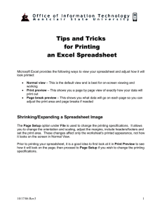 Tips and Tricks for Printing an Excel Spreadsheet