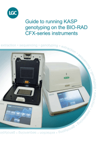 Running KASP on the BIO-RAD CFX