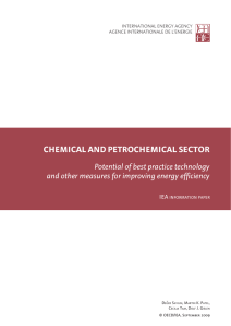 Chemical and Petrochemical Sector