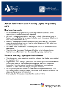 Advice for Floaters and Flashing Lights for primary care