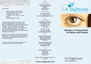 Leaflet - Red Eye Flashes and Floaters