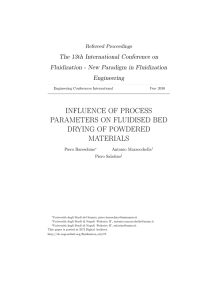 influence of process parameters on fluidised bed drying of