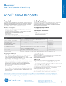 Accell siRNA