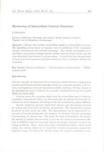 Mechanism of Intracellular Calcium Transients