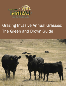 The Green and Brown Guide Grazing Invasive Annual Grasses: