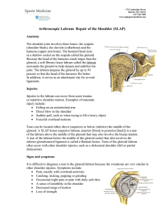 Arthroscopic Labrum Repair of the Shoulder