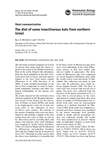 The diet of some insectivorous bats from northern Israel