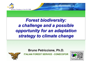 Forest biodiversity: a challenge and a possible opportunity for an
