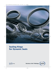 Sealing Rings for Dynamic Seals