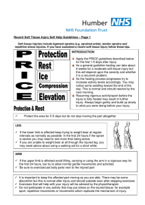 Recent Soft Tissue Injury Self Help Guidelines – Page 1 Protect the