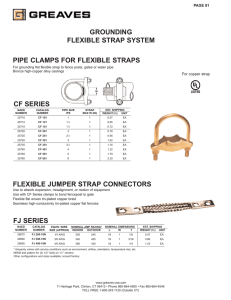 PIPE CLAMPS FOR FLEXIBLE STRAPS GROUNDING FLEXIBLE