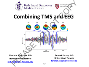Combining TMS and EEG