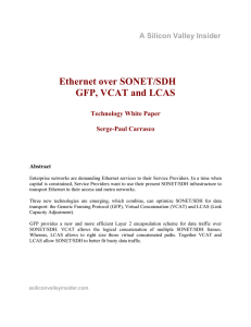Ethernet over SONET/SDH GFP, VCAT and LCAS