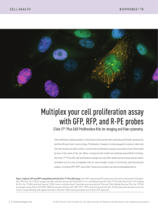 Multiplex your cell proliferation assay with GFP, RFP, and R