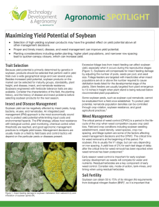 Maximizing Yield Potential of Soybeans