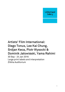 Artists` Film International: Diego Tonus, Lee Kai Chung, Srdjan Keca