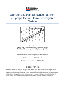 Selection and Management of Efficient Self