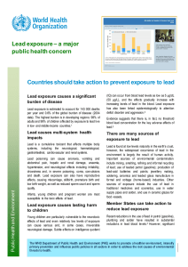 Countries should take action to prevent exposure to lead Lead