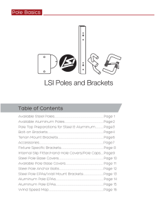 Pole Basics - LSI Industries