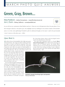 Green, Gray, Brown... - American Birding Association