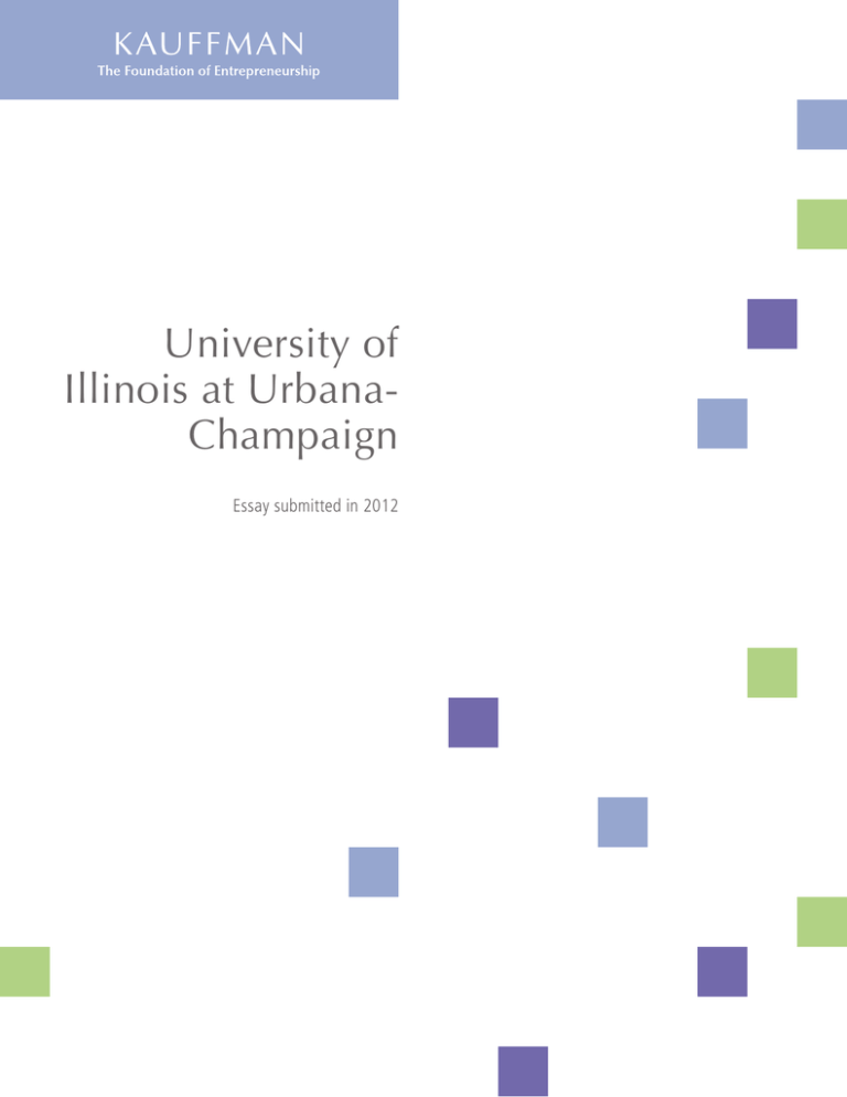 university of illinois urbana champaign essay