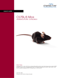 C57BL/6 Mouse Model Information Sheet