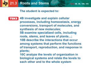 Roots and stems