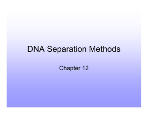 DNA Separation Methods