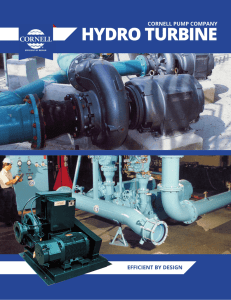 hydro turbine - Cornell Pump Company