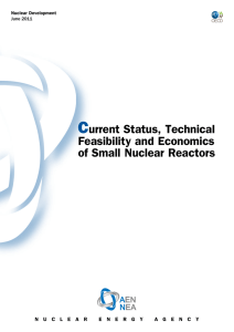Current Status Small Reactors