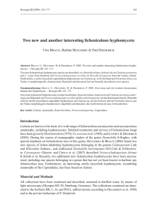 Two new and another interesting lichenicolous hyphomycete
