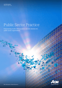 Public Sector Practice