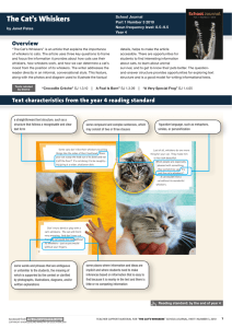 The Cat`s Whiskers - Literacy Online